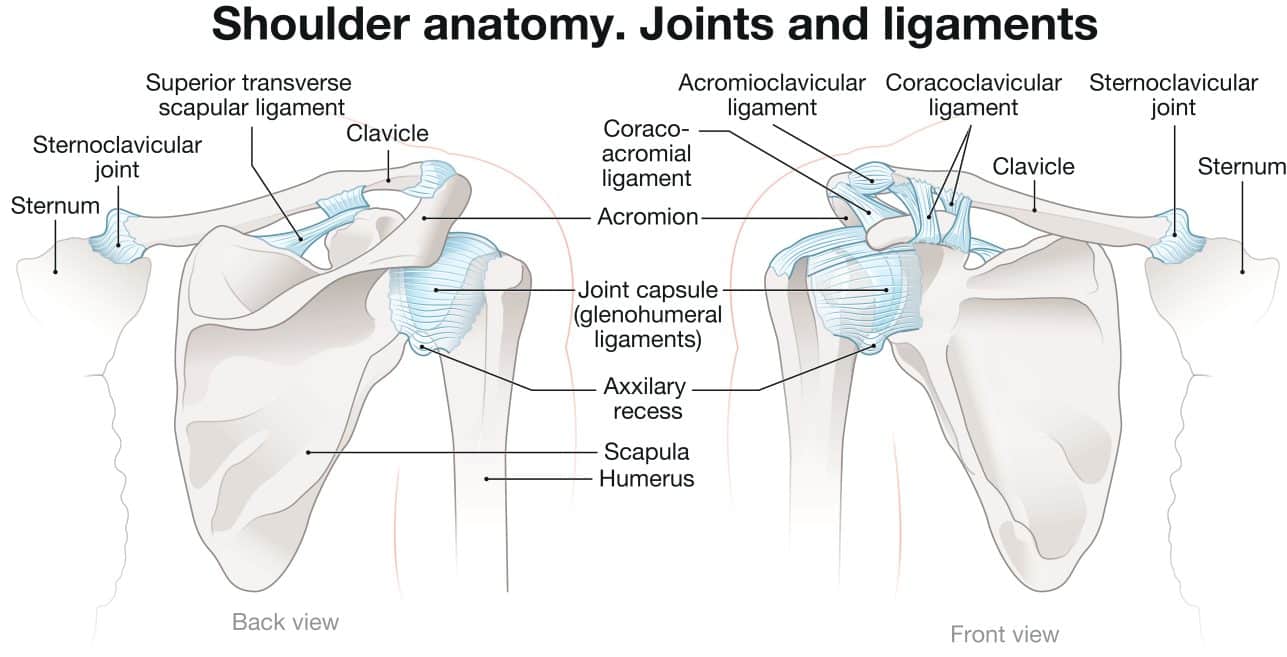 Common Shoulder Injuries And What To Do About Them common-shoulder-injuries-and-what-to-do-about-them